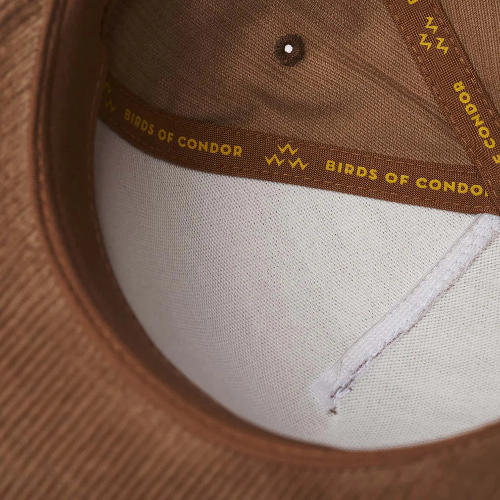 GOLDEN BEAR SNAPBACK