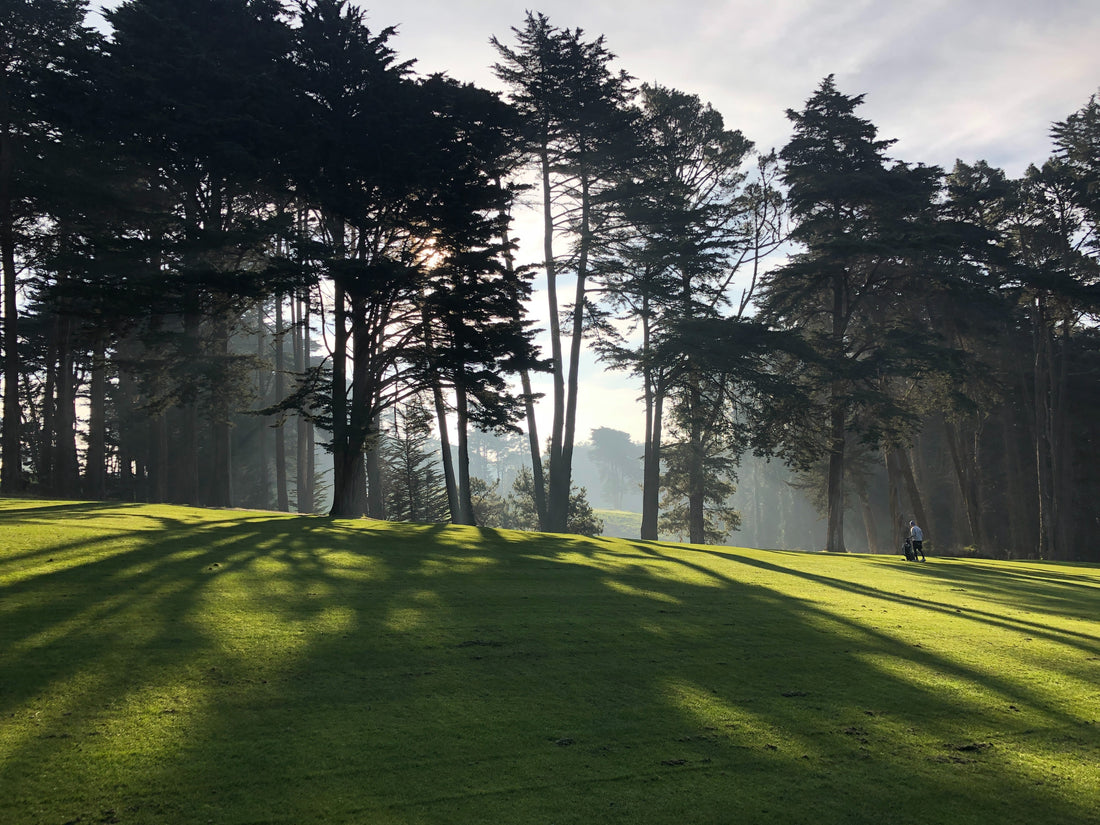 Stämningsfull morgonvy på en golfbana med långa skuggor som kastas över det frodiga gräset av höga träd, medan en ensam golfvagn står i bakgrunden under en dimmig soluppgång.